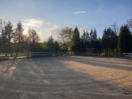 Unser Reitplatz